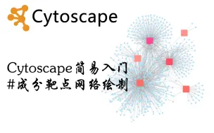 Tải video: Cytoscape绘制成分靶点网络＃简易教程