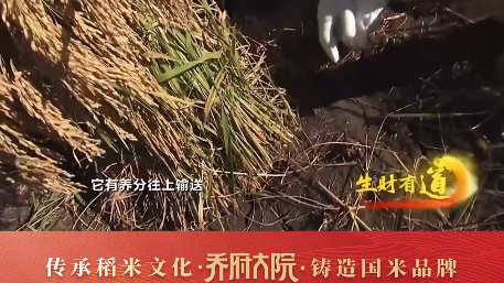 【CCTV2走进乔府大院】央视《生财有道》专访全国十佳农民、大国农匠—乔文志哔哩哔哩bilibili