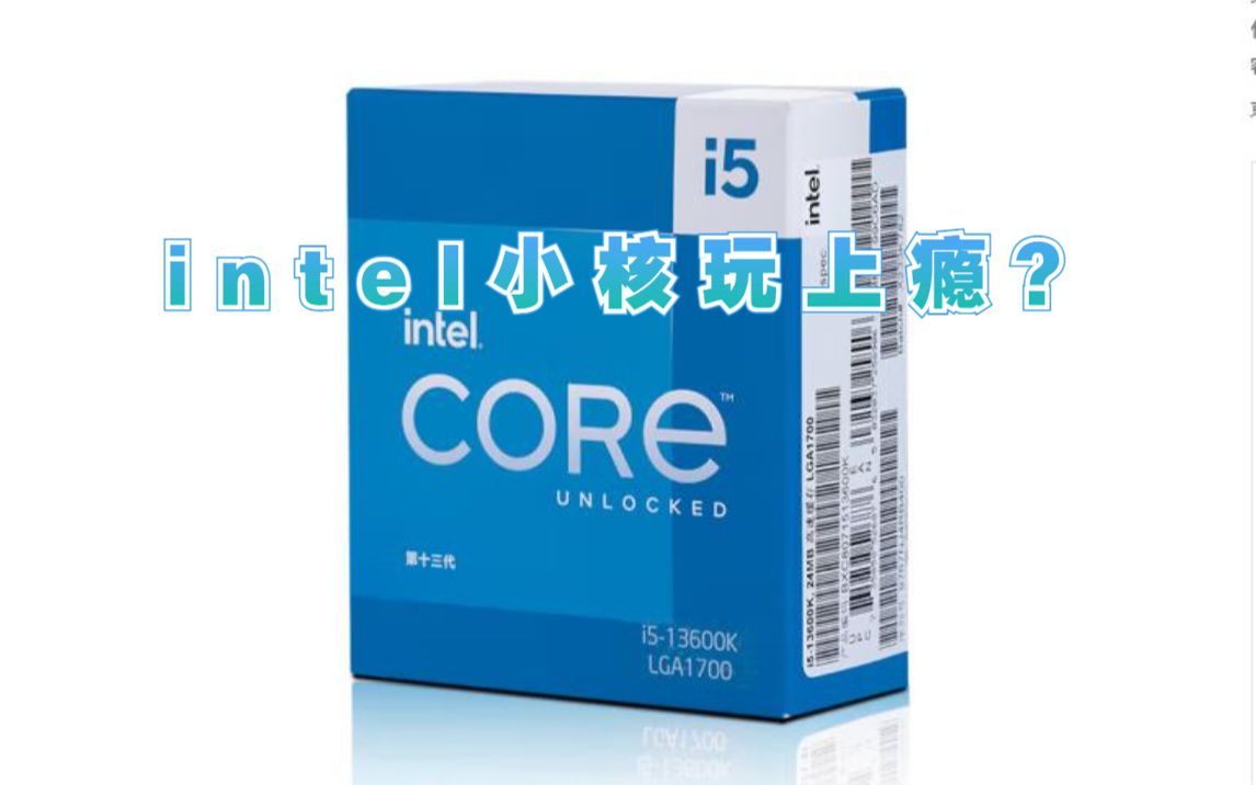 【小鱼家硬件评测室】intel小核玩上瘾?——13600K简单评测哔哩哔哩bilibili