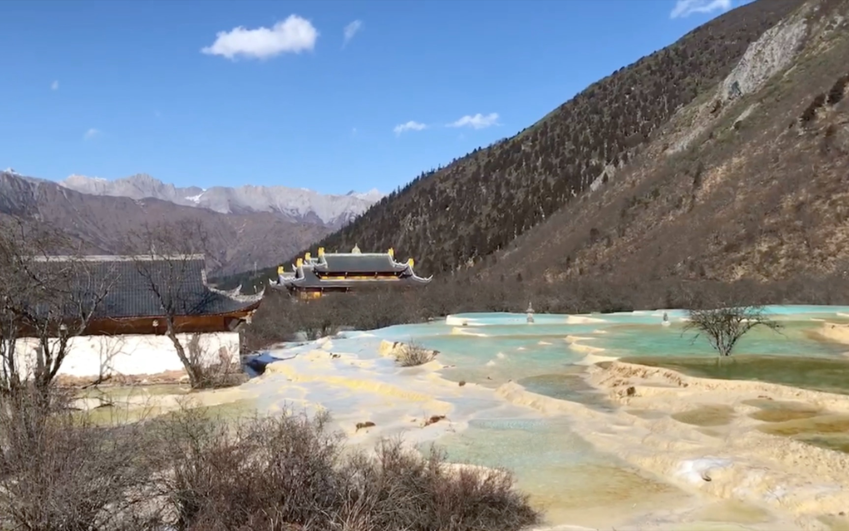 黄龙风景区以地表钙华景观为主景,呈梯田状排列,享有“人间瑶池”的美誉.3000多个彩池宛如翡翠,艳丽奇绝.(^𐷞)☆哔哩哔哩bilibili