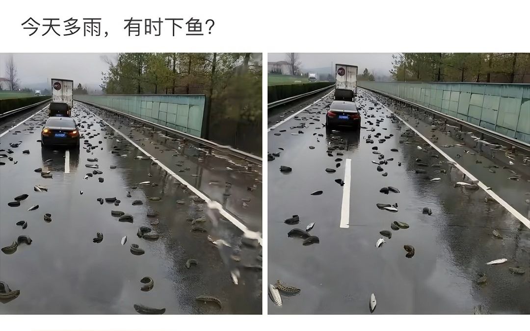 [图]今天多雨，有时下鱼？？