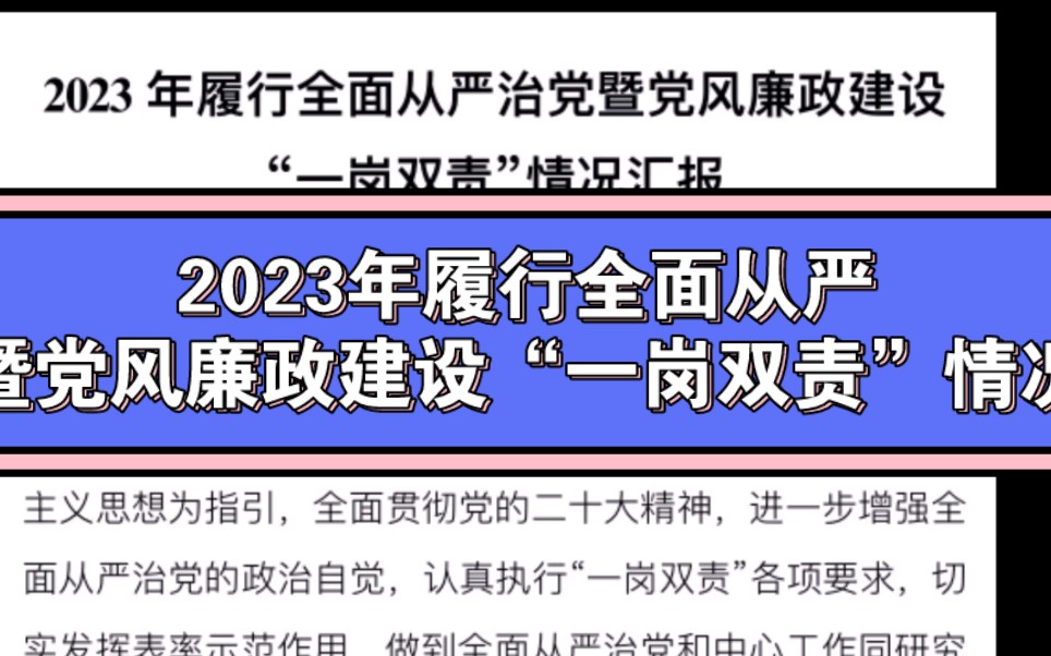 2023年履行全面从严治党暨党风廉政建设“一岗双责”情况汇报哔哩哔哩bilibili