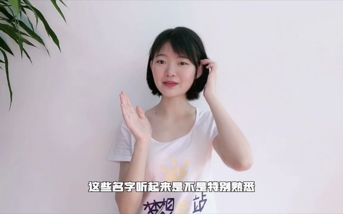 天天上网,没听过这些?哔哩哔哩bilibili