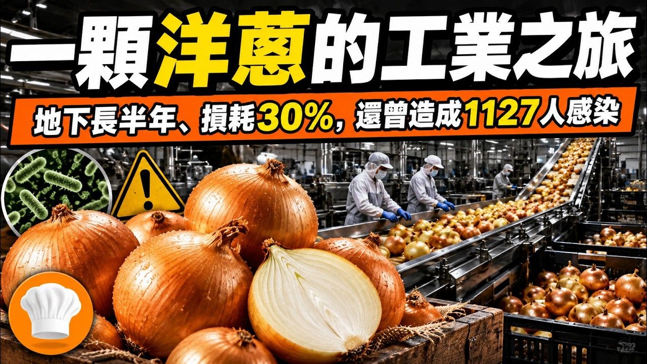 一颗洋葱如何走完现代供应链？地下生长近半年、田间曝晒14天、全球损耗最高30%，再经红外线分选，为何仍挡不住沙门氏菌？【超级后厨】