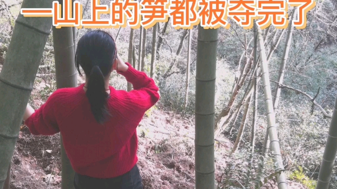 多多vlog—山上的笋都被夺完了
