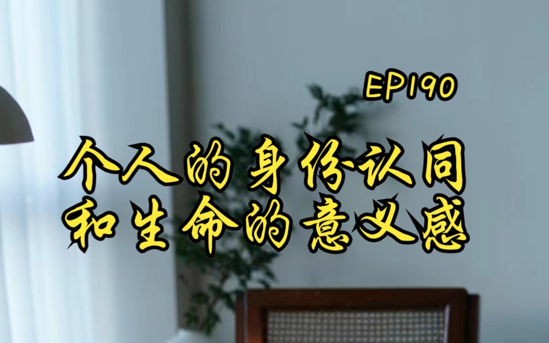 杂谈第190期—个人的身份认同和生命的意义感(2023年5月18日)哔哩哔哩bilibili