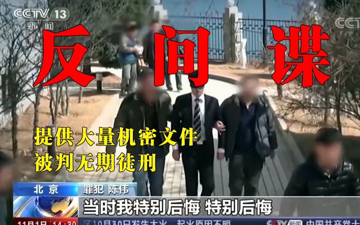 重大间谍案件:提供大量机密文件 被判无期徒刑哔哩哔哩bilibili