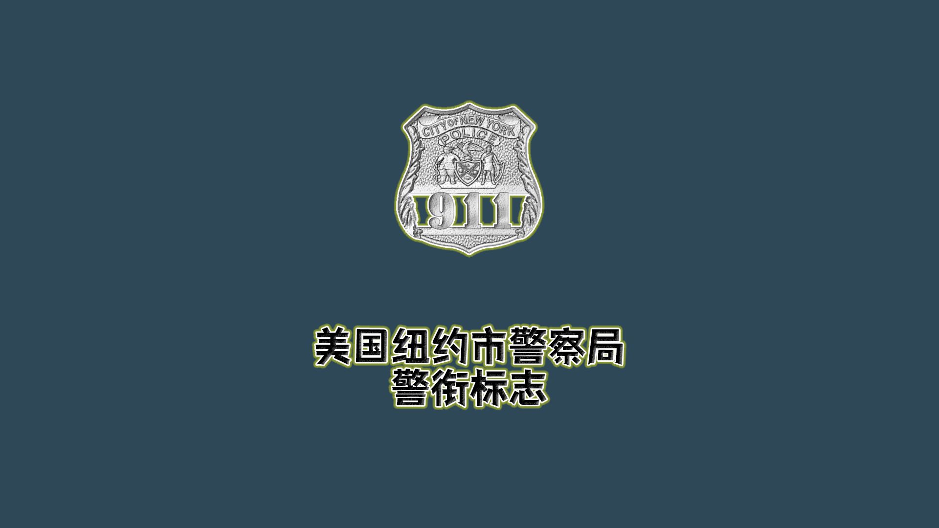 世界各地警察警衔标志:美国纽约市警察局警衔标志哔哩哔哩bilibili