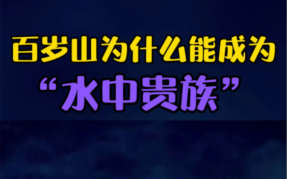 同为矿泉水,百岁山凭什么能成为“水中贵族”?哔哩哔哩bilibili