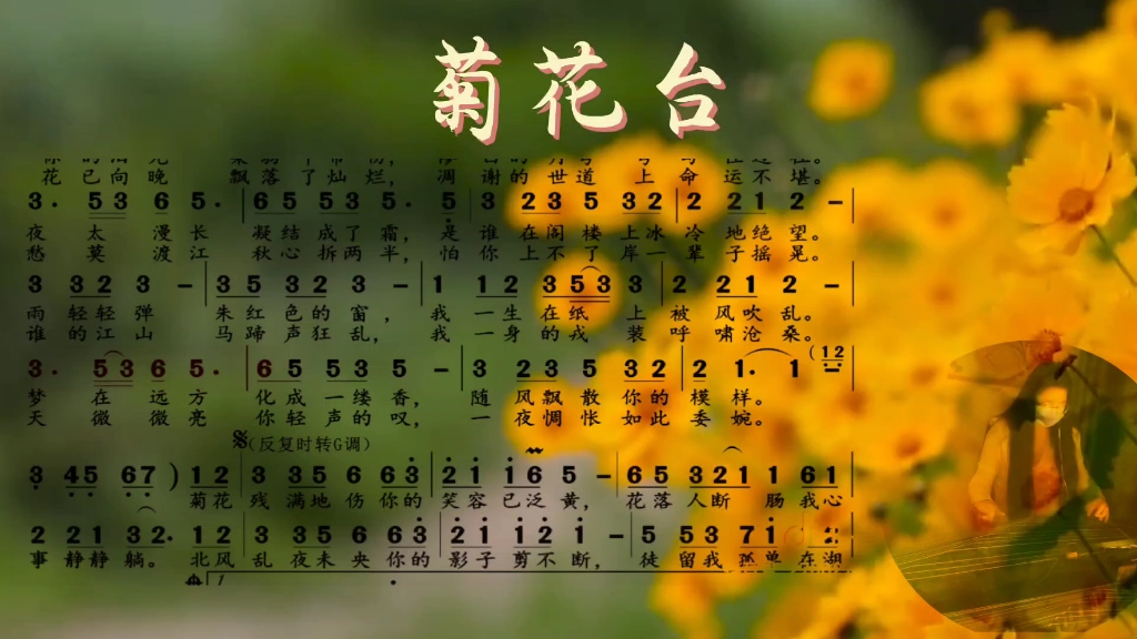 【古筝】菊花台