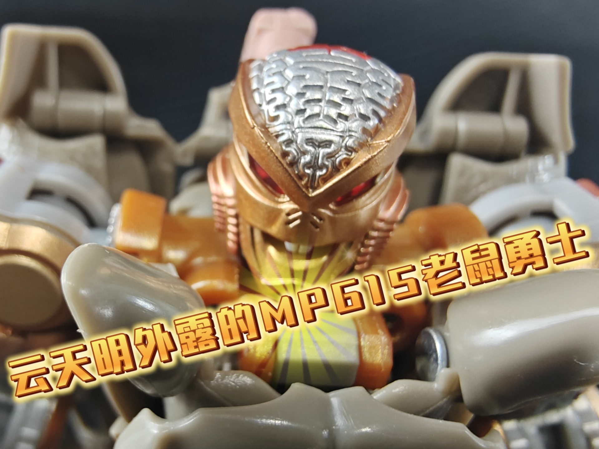 我的玩具分享第161期