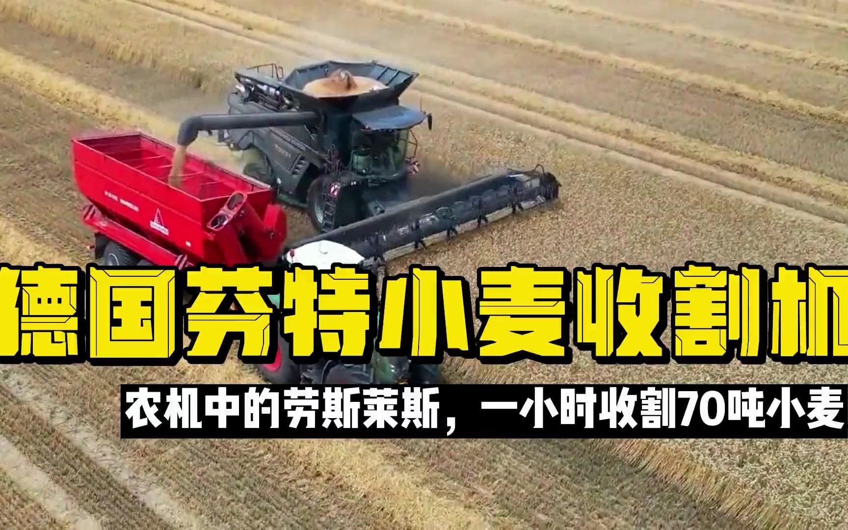 德国芬特10t小麦收割机,农机中的劳斯莱斯,一小时收割70吨小麦