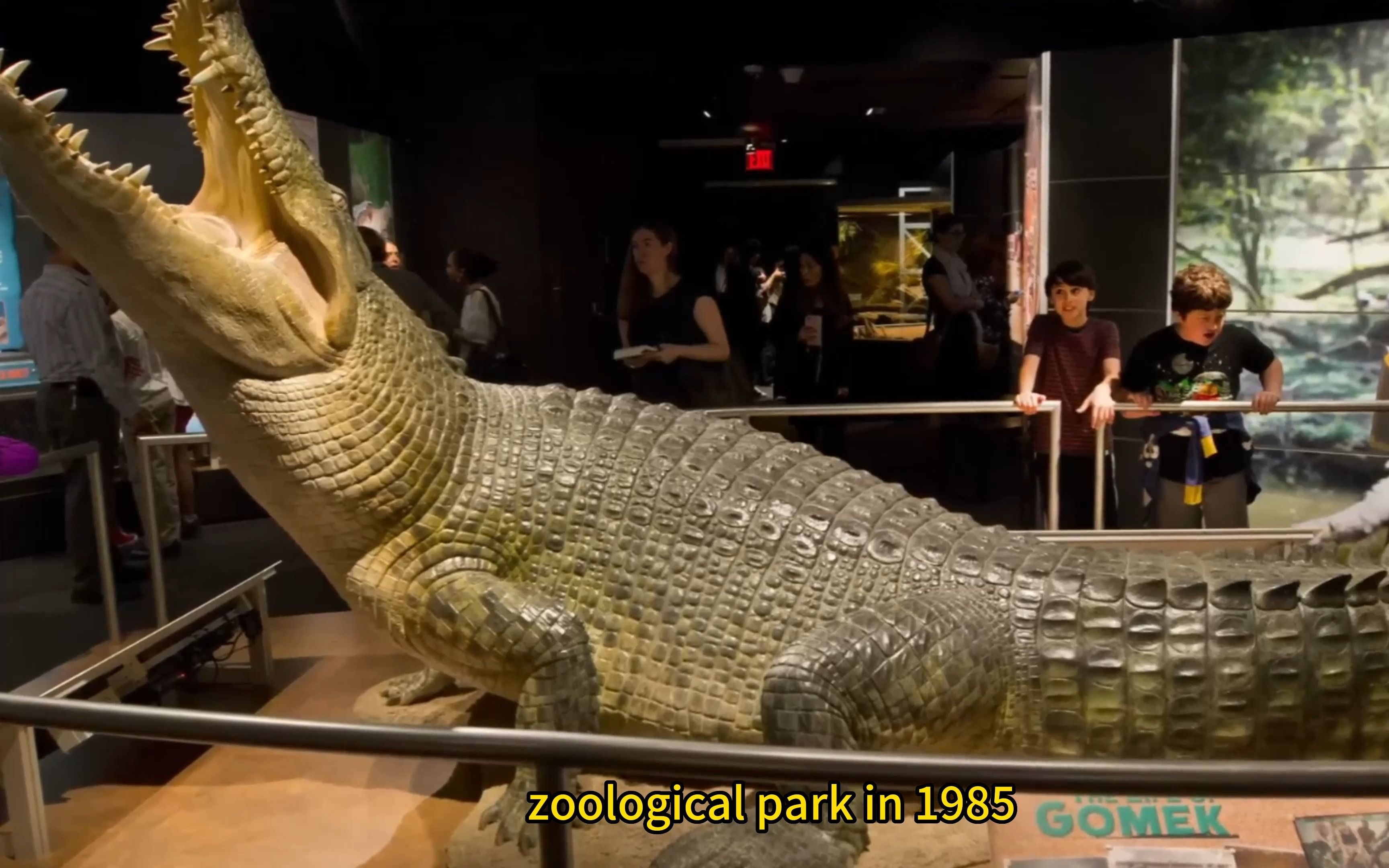 世界上15种最大的鳄鱼