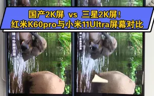 Download Video: 【国产2K屏vs三星2K屏】红米K60pro与小米11ultra屏幕对比，谁更胜一筹？