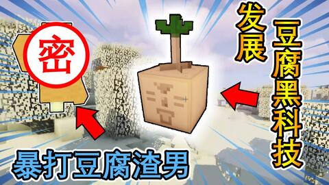 暴打渣男发展豆腐工艺黑科技我的世界minecraft大橙子女仆生存21 360游戏大厅