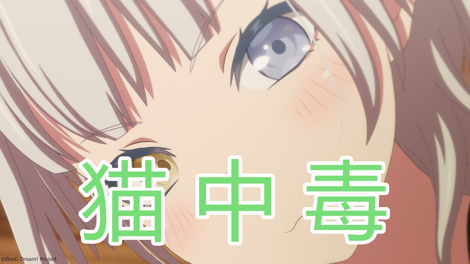 【amv/ai要乐奈】猫中毒