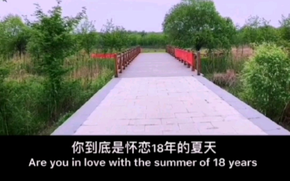 你到底是怀念18年的夏天,还是怀念18年夏天的人?