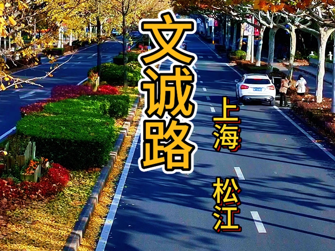 上海市松江区文诚路哔哩哔哩bilibili