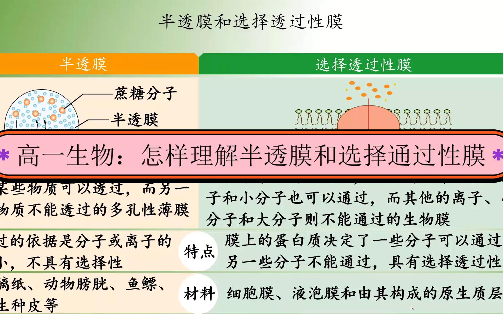 高一生物:怎样理解半透膜和选择通过性膜哔哩哔哩bilibili