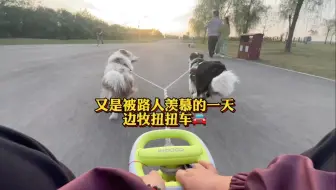大炮被小博美吓个半死