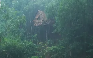 Скачать видео: 丛林中的暴雨说来就来，赶紧在树上建造大雨避难所，暴雨来临躲里面才舒服