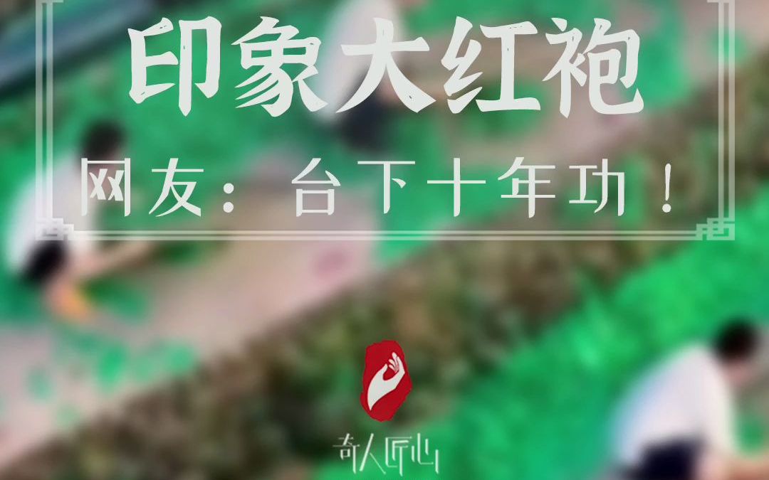 [图]印象大红袍演职人员排练现场,整齐筛茶的画面超壮观震撼！网友：真是台下十年功！