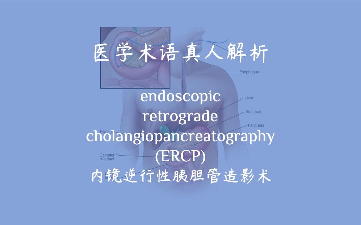 【医学术语真人解析】内镜逆行性胰胆管造影术哔哩哔哩bilibili