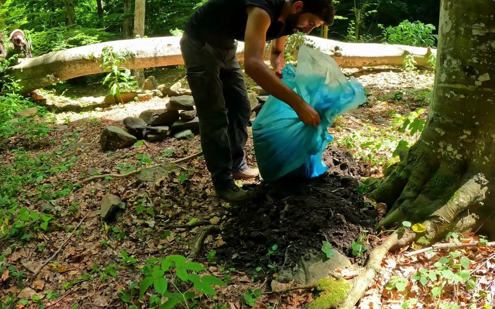 进入危险的森林,在一棵倒塌大树下砌建壁垒,躲在里面安全又舒服哔哩哔哩bilibili