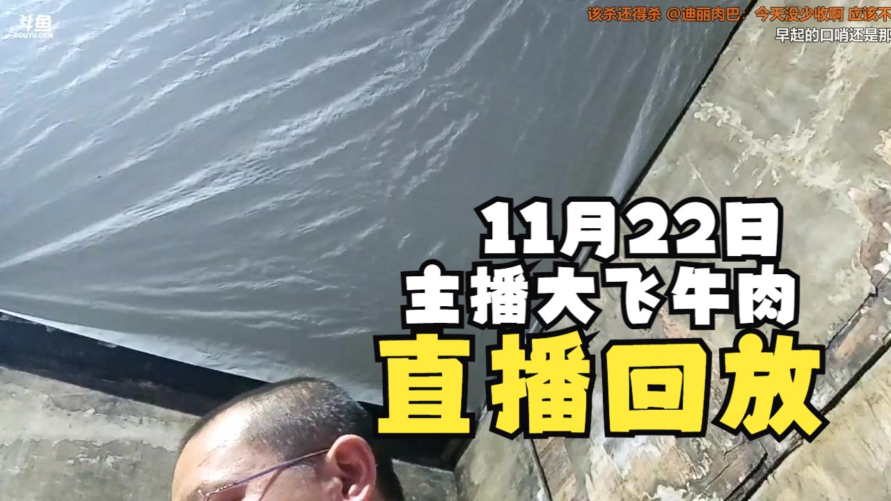 [主播大飞牛肉/直播回放] 海外岛国斯里兰卡纪实直播 2024年11月22日 (带弹幕版)哔哩哔哩bilibili