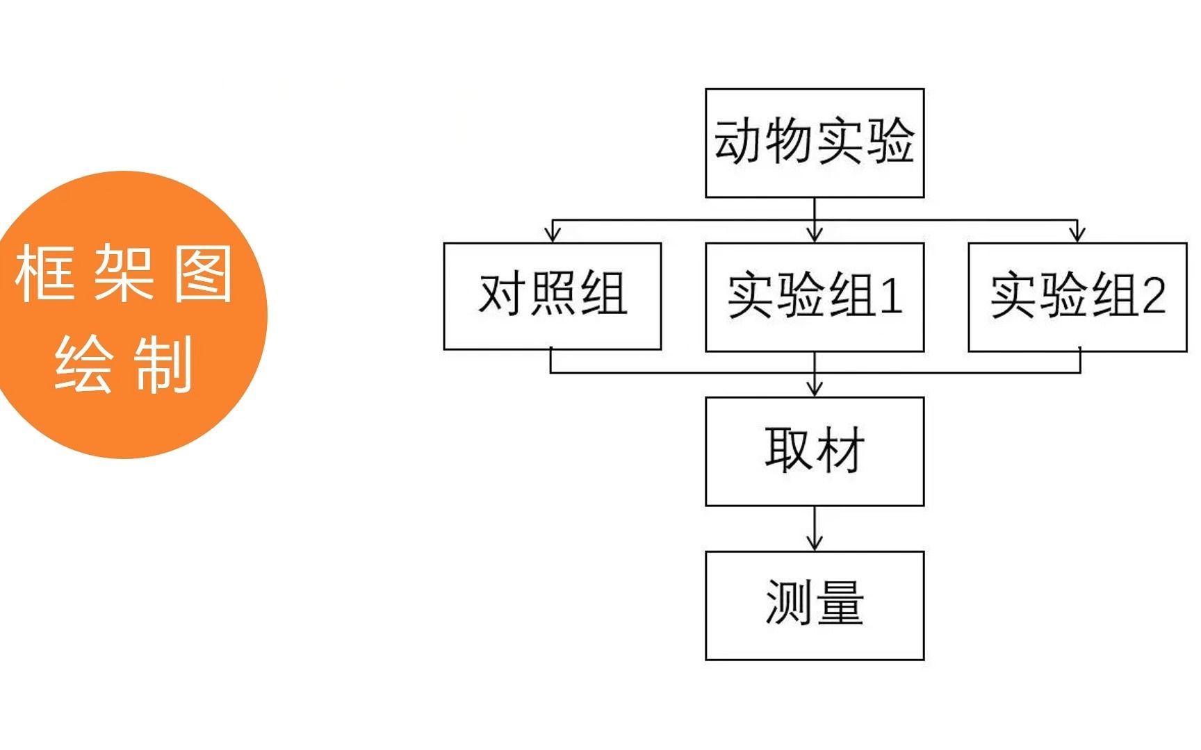 形状工具法绘制框架图哔哩哔哩bilibili