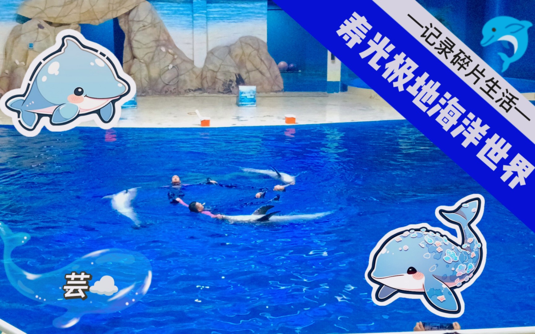 寿光极地海洋世界:海豚骑士,出击!98