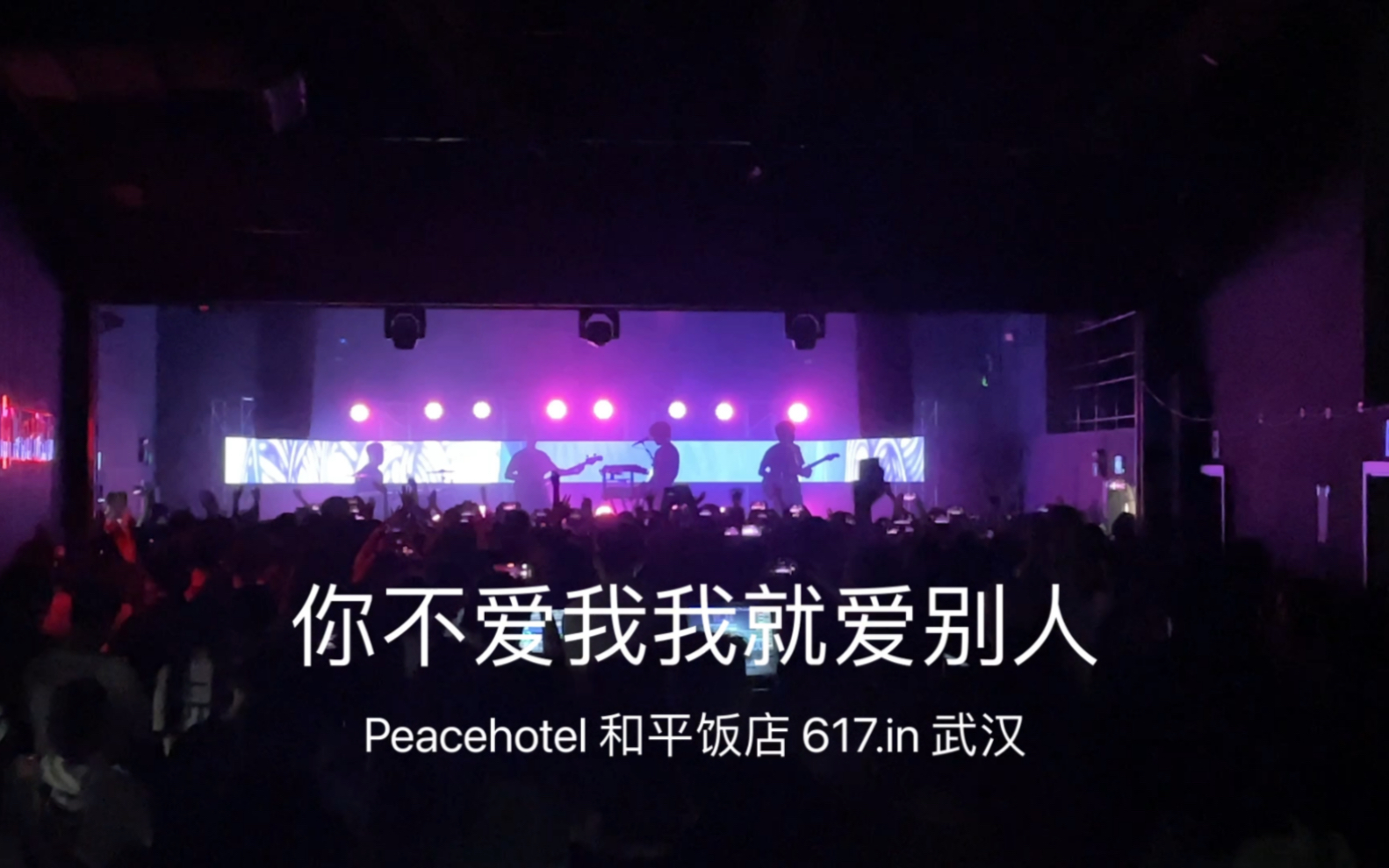 [图]【PeaceHotel和平饭店】你不爱我我就爱别人 大型合唱现场