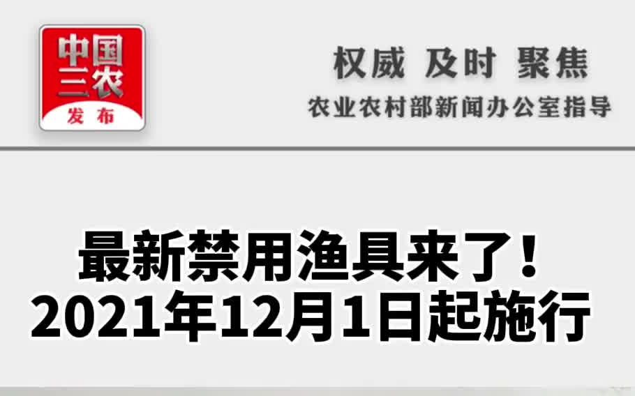 最新禁用渔具来了!2021年12月1日起施行哔哩哔哩bilibili