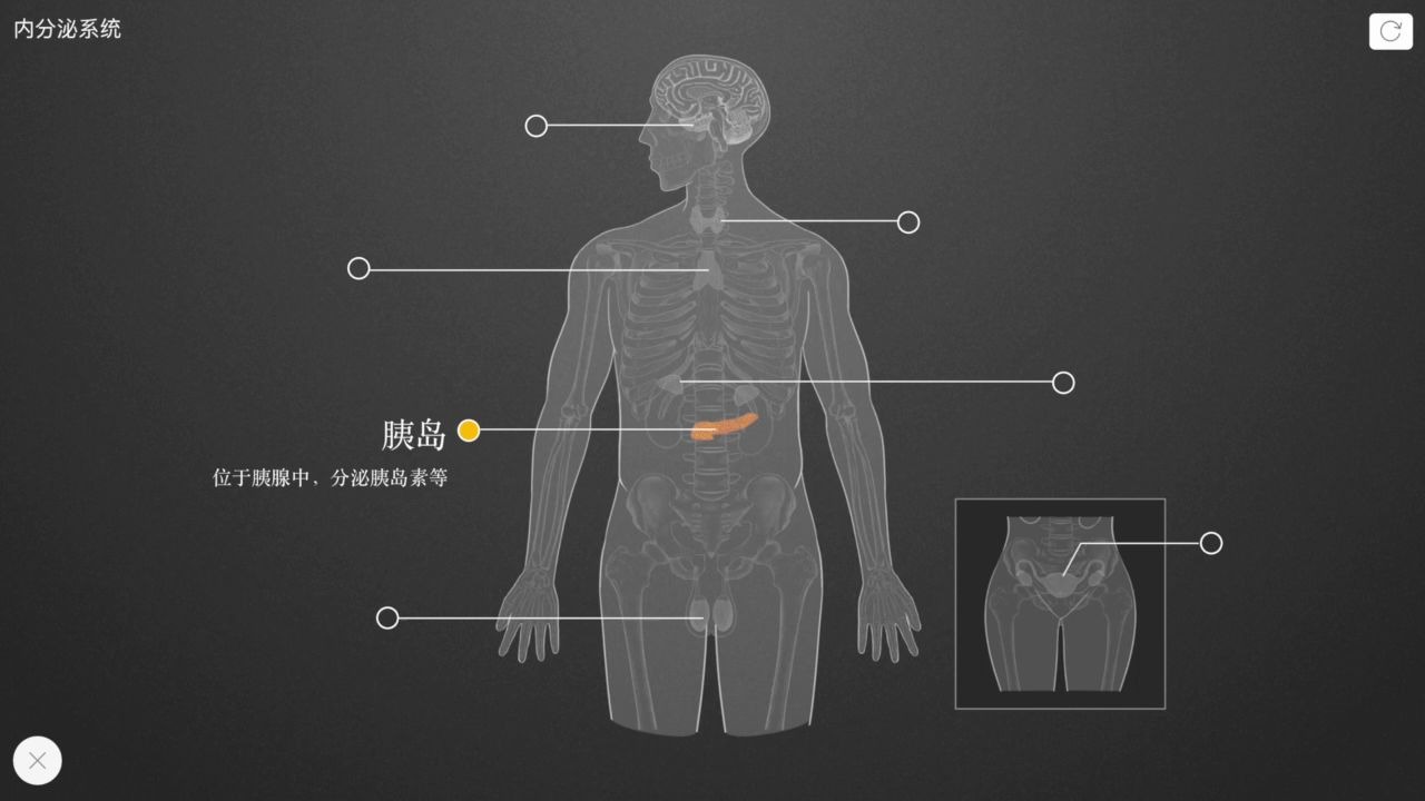 【生物】内分泌系统哔哩哔哩bilibili