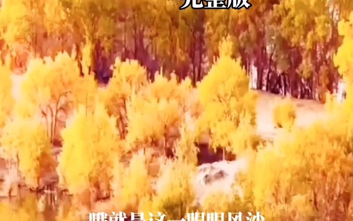 [图]《就恋这把黄土》歌声悠杨婉转，景色宜人心醉