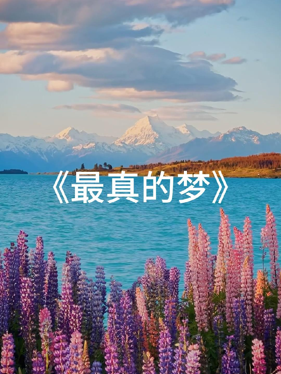 初听不知曲中意,再听已是曲中人.