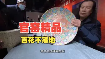 Télécharger la video: 官窑精品百花不落地，价值多少呢 | 藏友百万级别的古玉，谁更犟呢