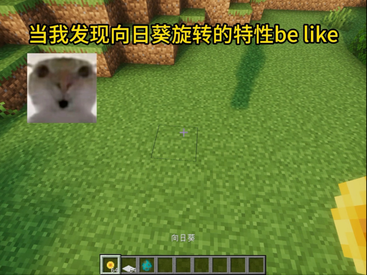 我的世界:当我发现向日葵旋转的特性be like