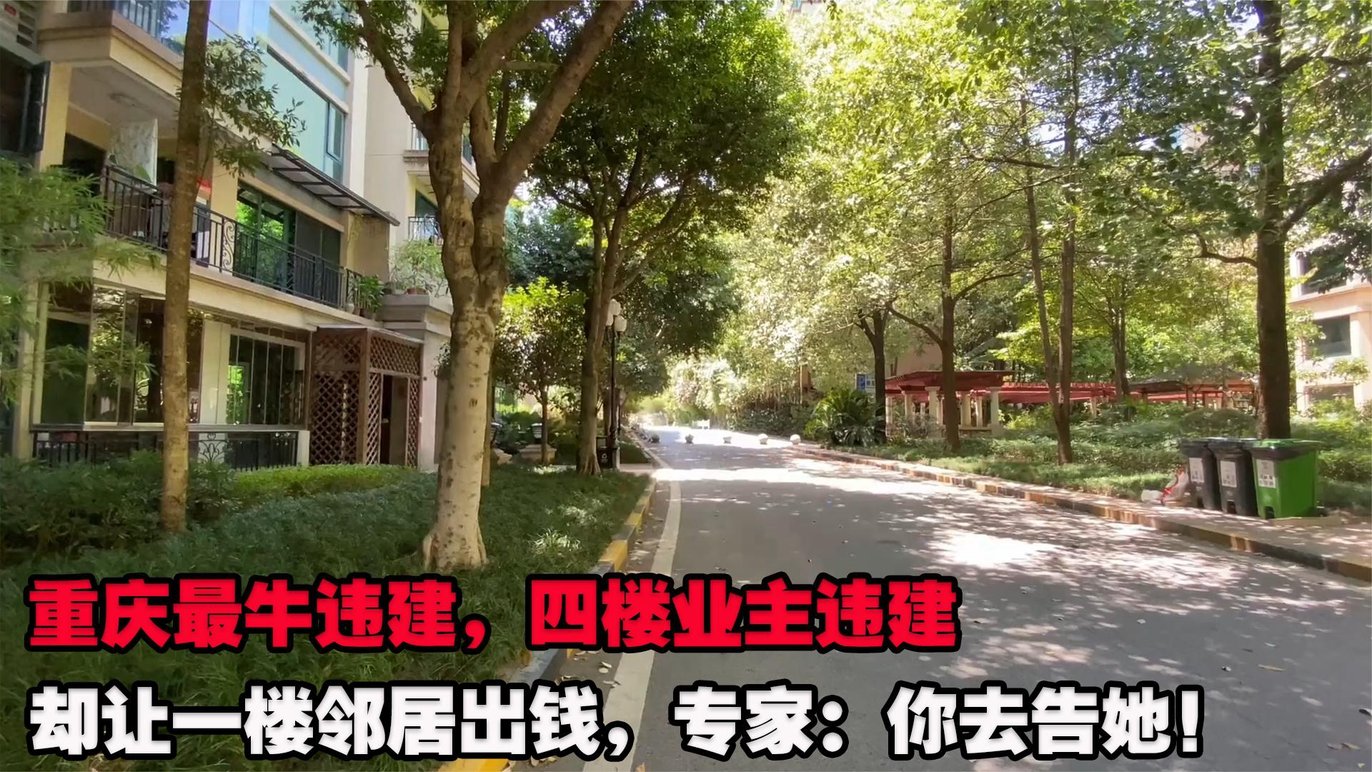 重庆最牛违建,四楼业主违建却让一楼邻居出钱,专家:你去告她!哔哩哔哩bilibili