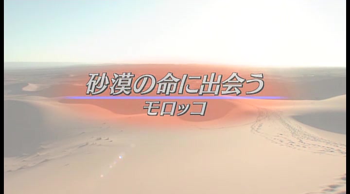 NHK 世界生态旅游 合集哔哩哔哩bilibili