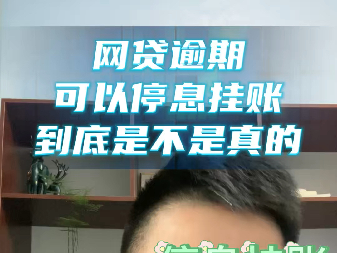 网贷逾期以后,可以停息挂账吗?哔哩哔哩bilibili