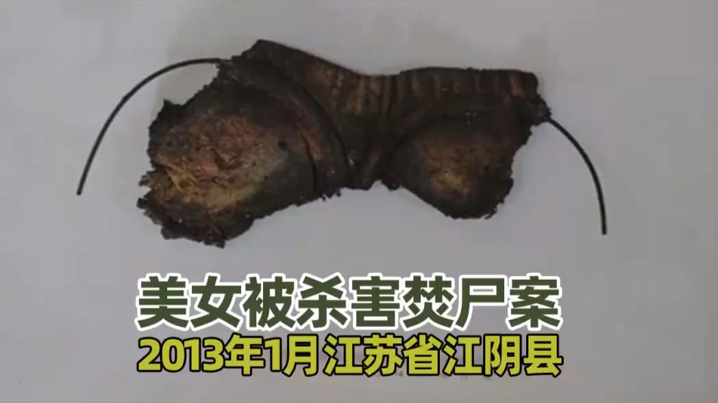 【命案重发】唏嘘！美女被杀害焚尸/2013年1月江苏省江阴县