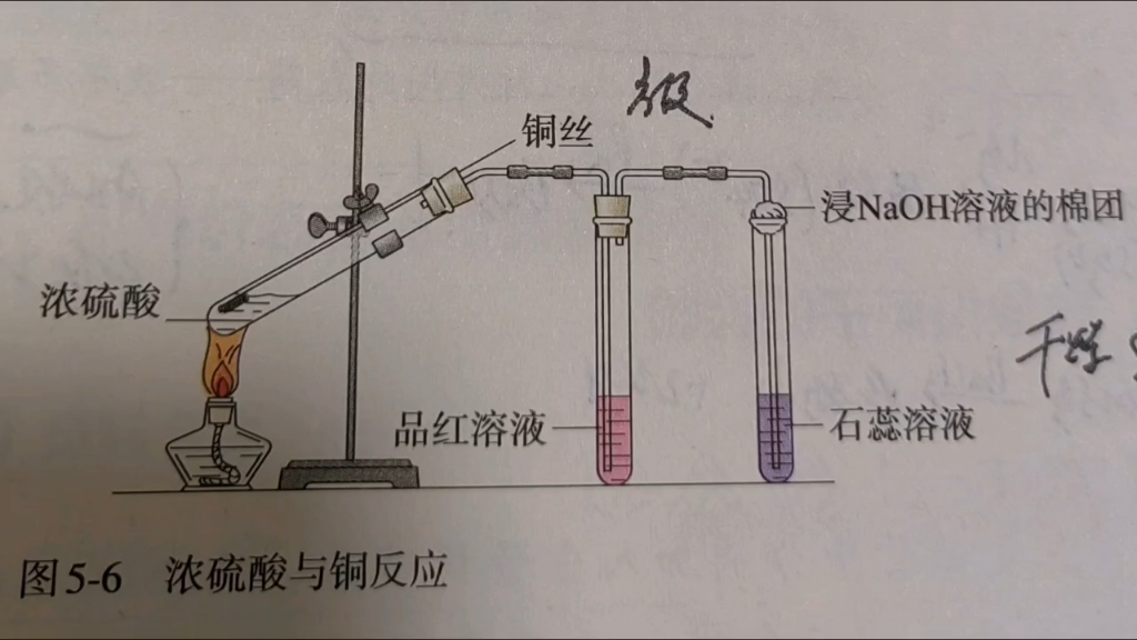 铜与浓硫酸的反应