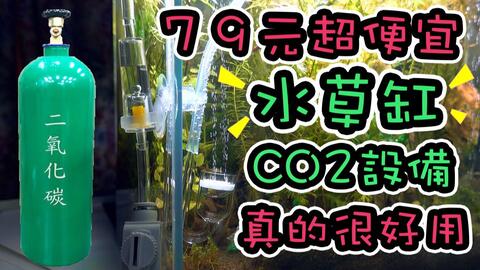 水草缸便宜的co2设备 实测天详细的心得与分享 Co2 System For Aquarium How To Buy 哔哩哔哩 Bilibili