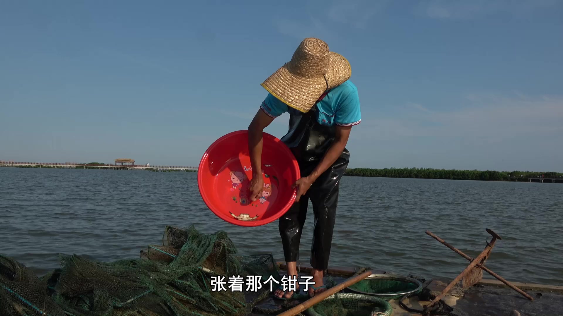 今天的天气好水流急,泥虾都是一窝窝的,小池抓的爽哔哩哔哩bilibili