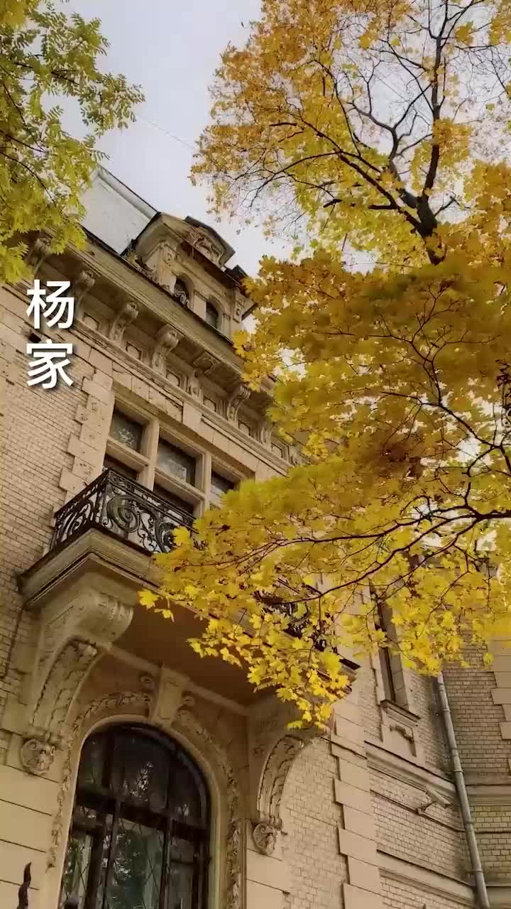 [图]《护花强龙》全集完整版