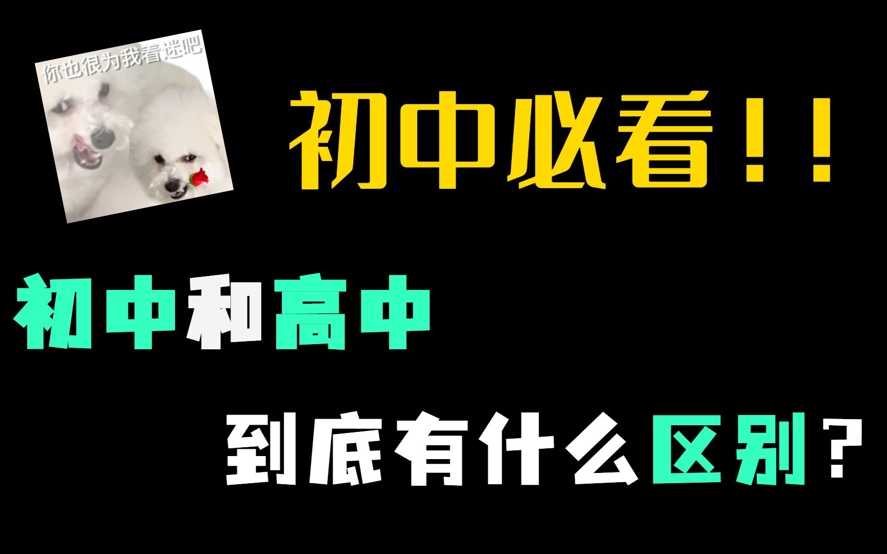 初中生必看,初中和高中有什么区别呢?哔哩哔哩bilibili