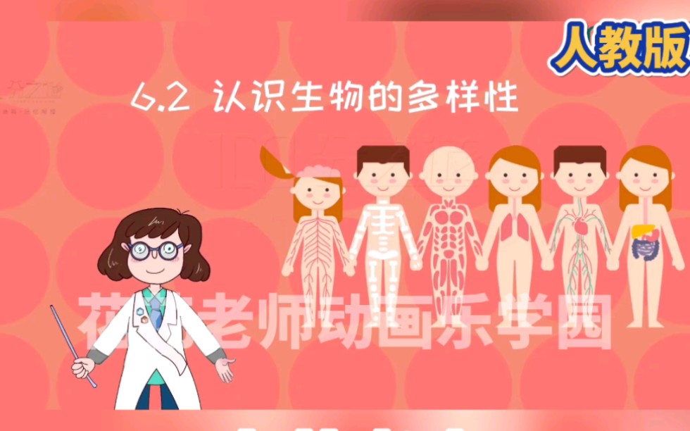 八年级上册生物知识点,认识生物多样性哔哩哔哩bilibili