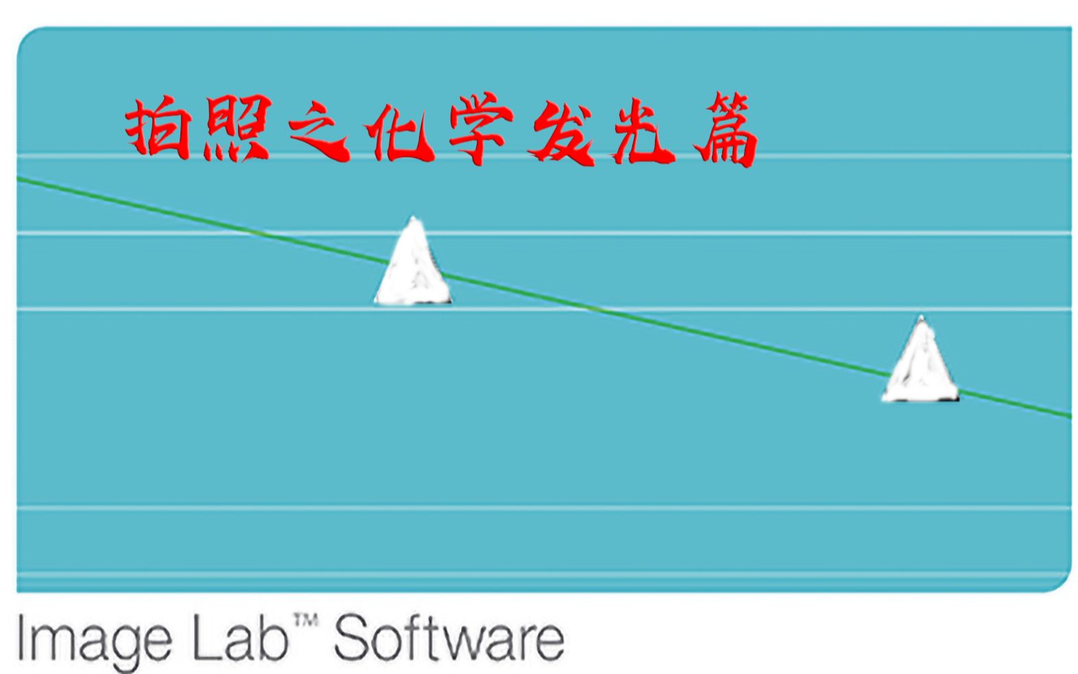 【分子生物学】imagelab拍照之化学发光篇哔哩哔哩bilibili