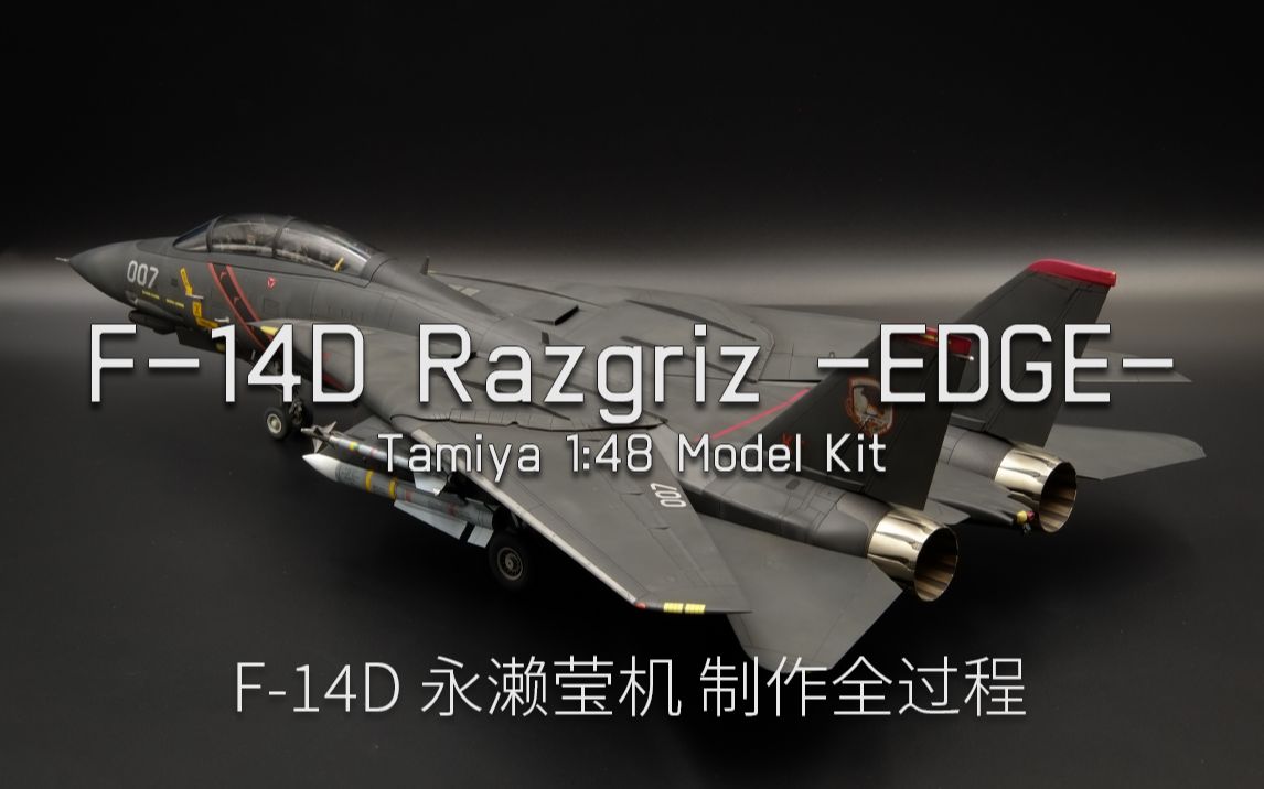 [图]皇牌空战5 F-14D 永濑莹机 制作全过程 田宫 1:48